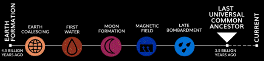 origins of Life