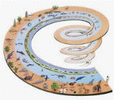 Spiral Evolution